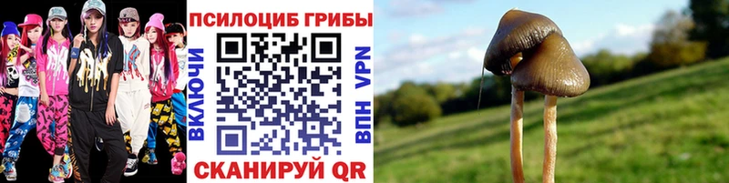 Псилоцибиновые грибы ЛСД  Лабытнанги 